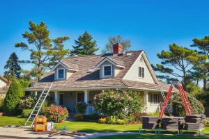 Explore Various Types of Flowers for Gardening and Decor